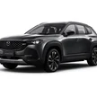 9fc1b979-7020-4cf6-83f3-17c396f03de0-cx-50-platinum-steel-gray.png