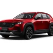 7fa6061a-5cd3-4b24-8c72-949c26f76cea-cx-50-soul-red-crystal.png