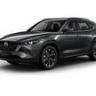 5a39f7c6-4874-4f50-bf1c-86d45a633e0e-platinum-steel-gray.png